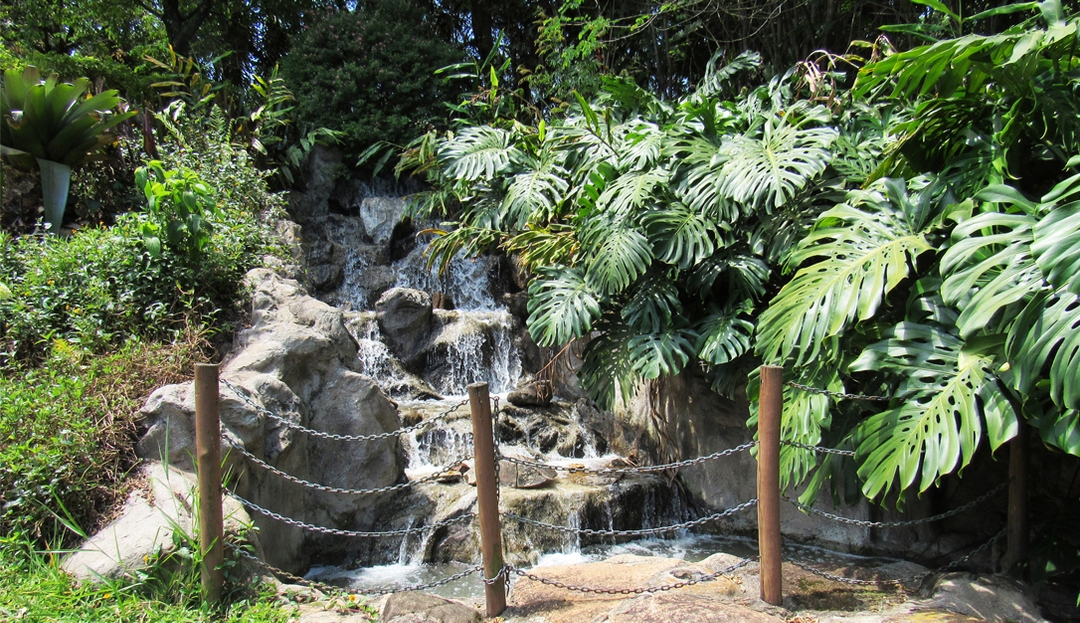 Foto da galeria