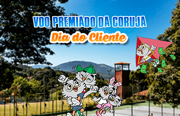 Imagem do pacote de Voo Premiado da coruja