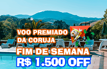 Imagem do pacote de Voo Premiado da coruja