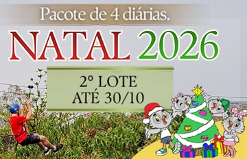 Imagem do pacote de Natal 2026