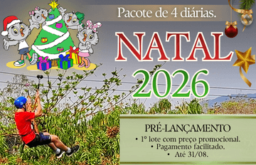 Imagem do pacote de Natal 2026